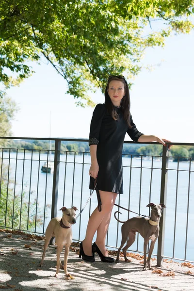 Parkta iki tazı ile genç kız