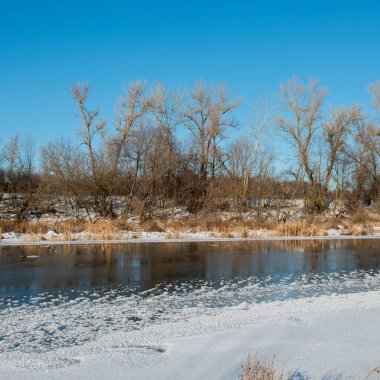 Güneşli bir günde kıyılar boyunca kar ve buz şeritleri olan yaprak döken orman ve nehir siluetleri. Kış mevsimi. Ukrayna. Avrupa.