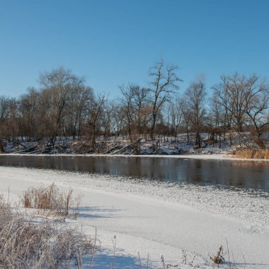 Güneşli bir günde kıyılar boyunca kar ve buz şeritleri olan yaprak döken orman ve nehir siluetleri. Kış mevsimi. Ukrayna. Avrupa.