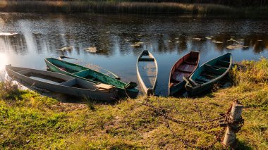 Güneşli bir günde nehir kıyısında ahşap kayıklar, kırsal alan. Sonbahar mevsimi.