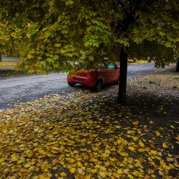 Voiture Rouge Érable Feuillage Jaune Tombé Saison Automne Dans Ville — Photo