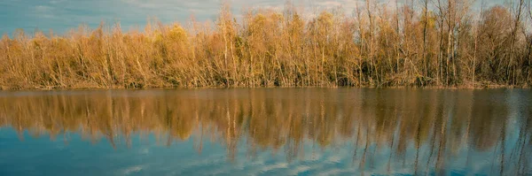 晴れた秋の日に川や落葉樹林 田舎のパノラマ風景 ウェブバナー ウクライナだ ヨーロッパ — ストック写真