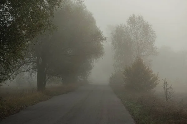 Estrada Asfalto Contra Fundo Árvores Caducas Nevoeiro Temporada Outono Aldeia — Fotografia de Stock
