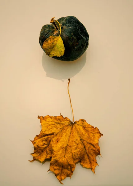 Lost apple with a dry leaf and a dry maple leaf lying on a light background. Autumn season.