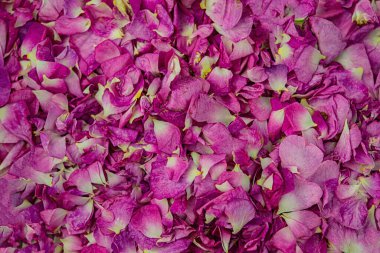 Masada pembe çay yaprakları kurumuş. Web pankartı.