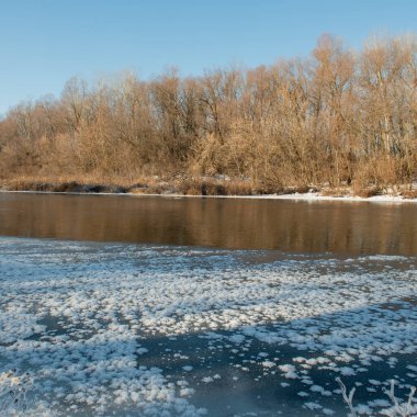 Güneşli bir günde kıyılar boyunca kar ve buz şeritleri olan yaprak döken orman ve nehir siluetleri. Kış mevsimi. Ukrayna. Avrupa.