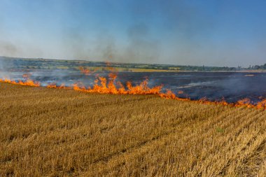 Yapay doku, hasat edilen buğday tarlasını ateşe verdi. Çiftçiler kasten yaktılar. Hava kirliliği. Yaz sezonu. Dnipro bölgesi. Ukrayna. Avrupa.