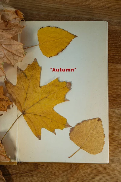 Stary Otwarty Księga Jesienny Listowie Leżę Dębowy Stół Jesienny Sezon — Zdjęcie stockowe