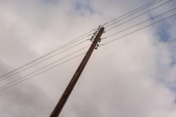 Pali Con Fili Linee Elettriche Sullo Sfondo Del Cielo Concetto — Foto Stock