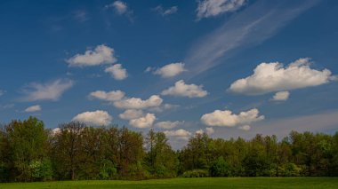 Yaprak döken orman ve çayır güneşli bir günde, kırsal alanda çiçek açarken. Bahar mevsimi, Mayıs.