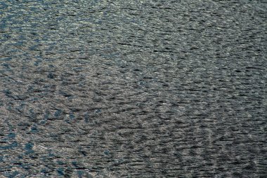 Göldeki su yüzeyi ince dalgalarla kaplıdır. Şehir çevresi. Koruyun. Web afişi. Tasarım için.