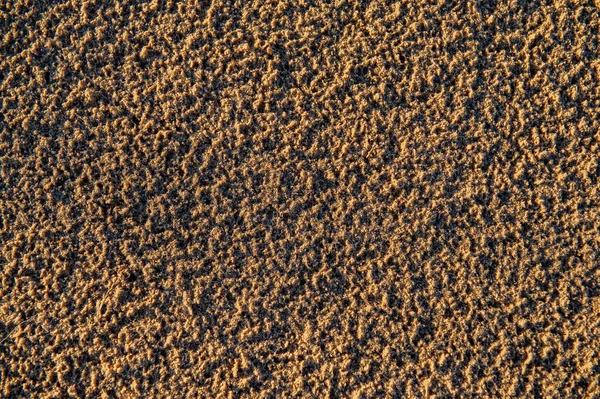 阳光下的沙子表面 春天的季节Web横幅 — 图库照片