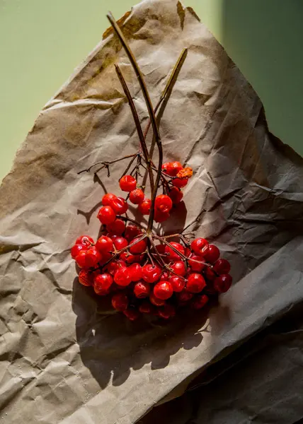 Cachos Frutos Vermelhos Viburnum Luz Sol Superfície Mesa Temporada Inverno — Fotografia de Stock