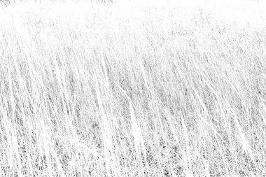 Beyaz arka plan ve siyah ve gri çizikler. Tasarımın için..