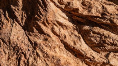 Bitkinin kuru yaprağının kahverengi yüzeyi. Web pankartı.