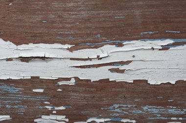 Beyaz boyayla kaplanmış eski ahşap yüzey, yakın plan. Koruyun. Web afişi. Sonbahar mevsimi, Ekim.