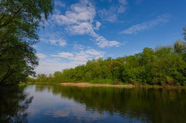 Deciduous forest on the bank and deep river Psel in the morning, landscape in the countryside. Spring season. Ukraine. Europe/