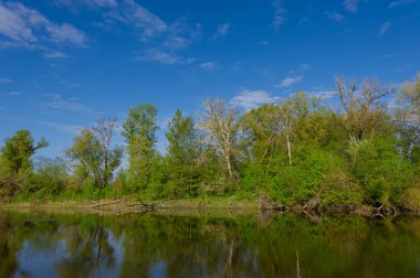 Deciduous forest on the bank and deep river Psel in the morning, landscape in the countryside. Spring season. Ukraine. Europe/