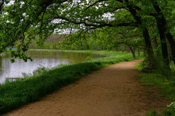 Landschaft Mit Einer Fußgängerzone Park Der Nähe Des Teiches Und — Stockfoto