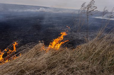 Bozkırda kuru otlar yanıyor, güçlü bir rüzgar ateşi şiddetlendiriyor. Çiftçiler kasten çimleri ateşe verdi. Sonbahar sezonu. Ukrayna. Avrupa.