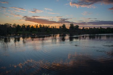 Gün batımında nehirde yıkanan adam, kırsal alan. Yaz mevsimi.