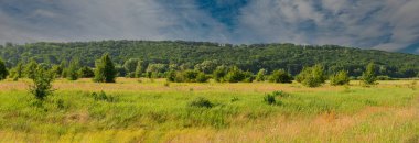 Yamaçtaki yaprak döken orman ve öğleden sonra çayır mavi gökyüzündeki beyaz bulutların arka planında. Yaz sezonu. Panoramik kırsal alan. Web afişi. Ukrayna. Avrupa.