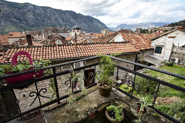 Vue Aérienne Des Toits Kotor Toits Tuiles Ville Historique Kotor — Photo