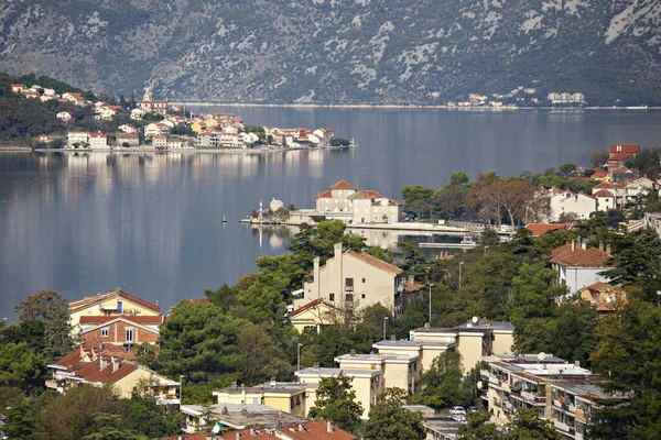 Kotor Montenegro Ottobre 2020 Vecchie Case Della Città Storica Kotor — Foto Stock