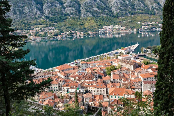 Kotor Montenegro Οκτώβριος 2020 Παλιά Σπίτια Της Ιστορικής Πόλης Kotor — Φωτογραφία Αρχείου