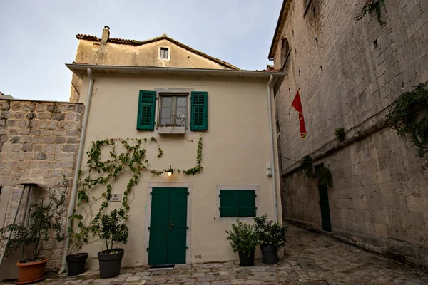 Kotor Montenegro October 2020 Narrow Street Historical Architecture Old Kotor — 스톡 사진