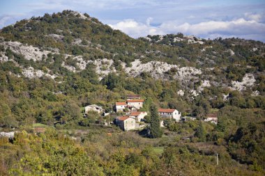 Sonbahar mevsiminde renkli ağaçlı dağlar, doğa fotoğrafı arkaplanı