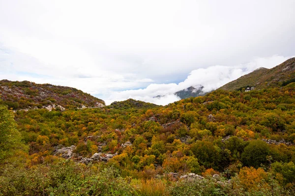 Hermoso Otoño Las Montañas Montenegro — Foto de Stock