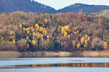 Sonbaharda Zaovine Gölü manzarası. Sonbaharda Sırbistan 'da Tara Ulusal Parkı