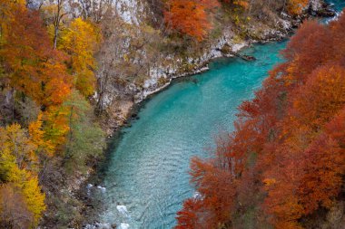 Karadağ 'ın Durdevica Tara Köprüsü' nden sarı ağaçlar ve Piva nehrinin güzel sonbahar manzarası