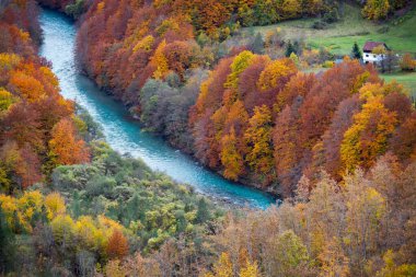 Karadağ 'ın Durdevica Tara Köprüsü' nden sarı ağaçlar ve Piva nehrinin güzel sonbahar manzarası