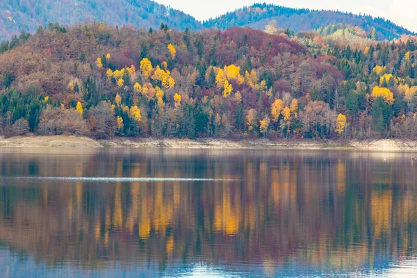 Jezioro Zaowiec Krajobraz Jesienią Park Narodowy Tara Serbii Jesienią — Zdjęcie stockowe