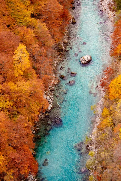 Hermosa Vista Otoño Sobre Los Árboles Amarillos Río Piva Desde —  Fotos de Stock