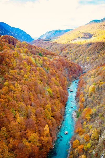 Prachtig Herfstzicht Gele Bomen Piva Rivier Vanaf Durdevica Tara Brug — Stockfoto