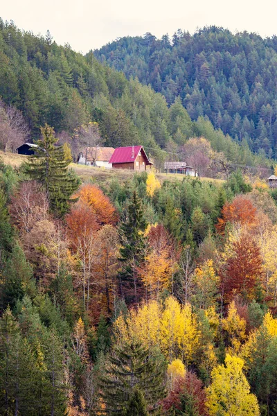 Bright Autumnal Mountains Landscape Nature Background — Fotografia de Stock