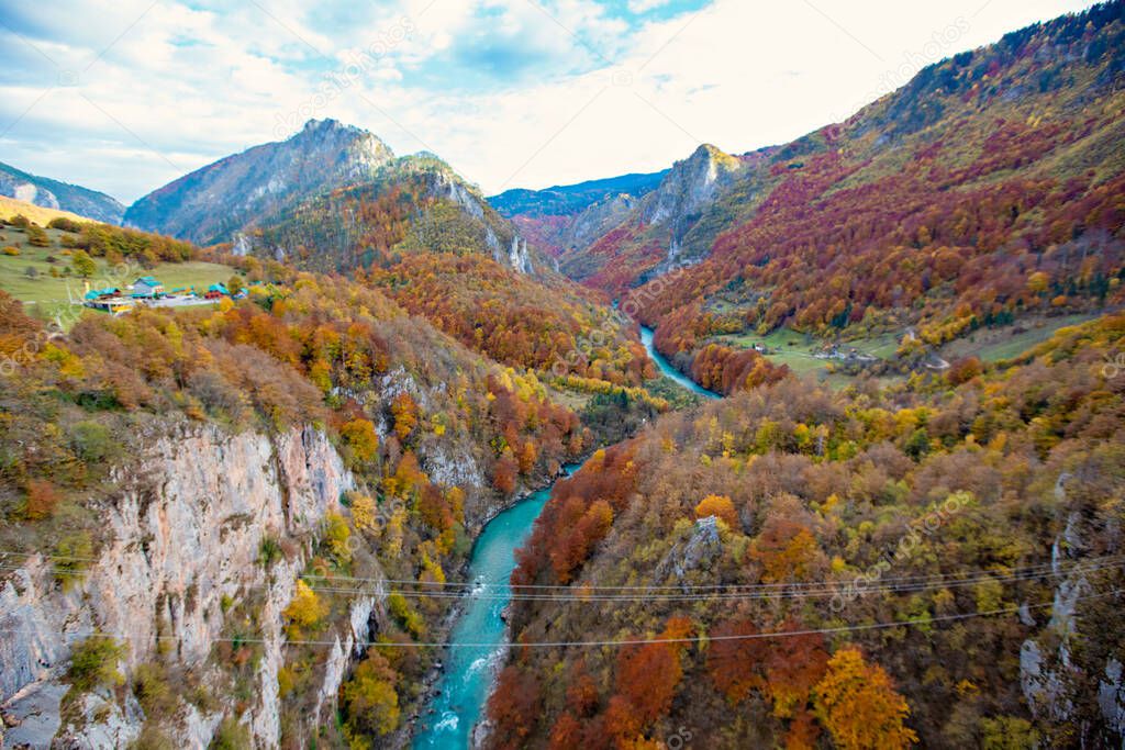 Beautiful autumn view on the yellow trees and Piva river from The Durdevica Tara Bridge, Montenegro