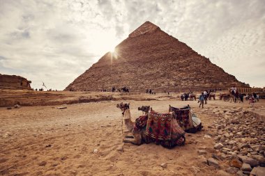 GIZA, EGYPT - Kasım 2020: Büyük Giza Piramidi gün batımında. Khafre Piramidi yakınında dinlenen develer, Giza, Mısır