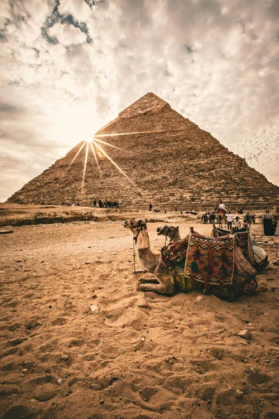 Гиза Эгипт Ноябрь 2020 Великая Пирамида Гизы Закате Верблюды Отдыхающие — стоковое фото