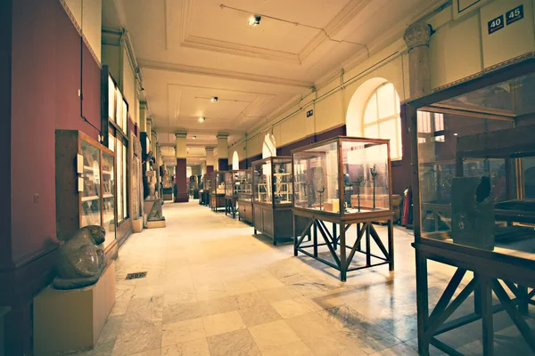 Salle Exposition Intérieur Musée Égyptien Caire Égypte — Photo