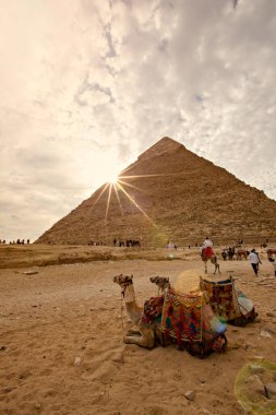 GIZA, EGYPT - Kasım 2020: Büyük Giza Piramidi gün batımında. Khafre, Giza, Mısır Piramidi yakınlarında devesi olan bir adam..