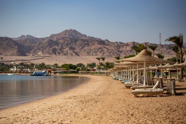 Deniz kenarında şemsiyeleri, arka planda dağları olan boş güneşlikler.