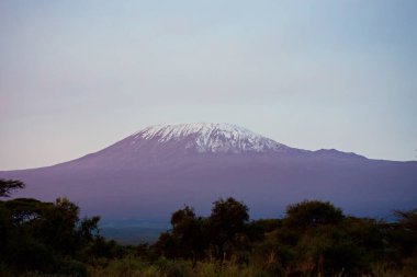 Kilimanjaro Dağı manzaralı, Amboseli Milli Parkı