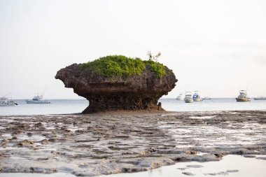Watamu, Kenya 'daki Garoda plajı. Watamu sahilindeki kayalıklar.