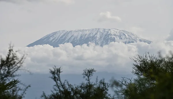 Early Morning Kilimanjaro Mountain View Amboseli National Park — Foto de Stock