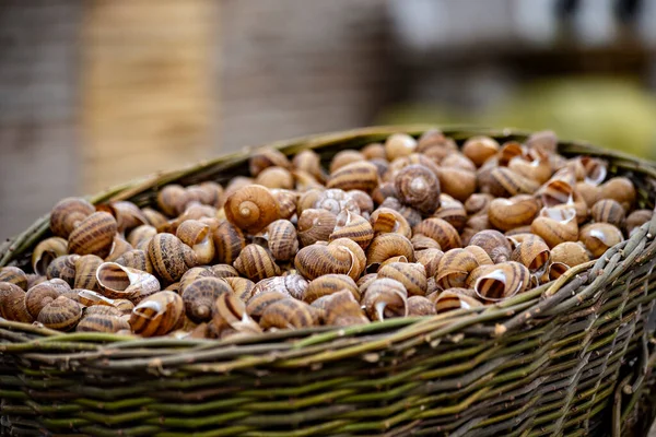 Cropped View Basket Full Empty Snails Shells — Foto de Stock