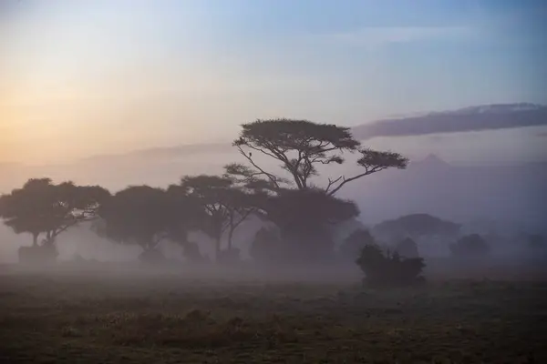 Landscape Foggy Plain Morning Sunrise — ストック写真
